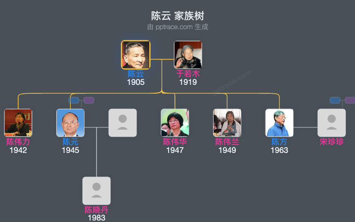 陈云 家族树全览