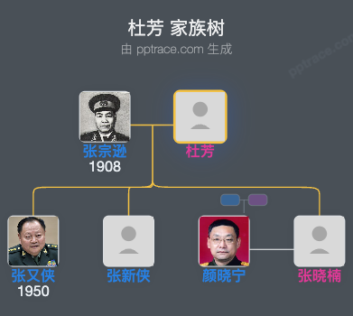 杜芳 家族树全览