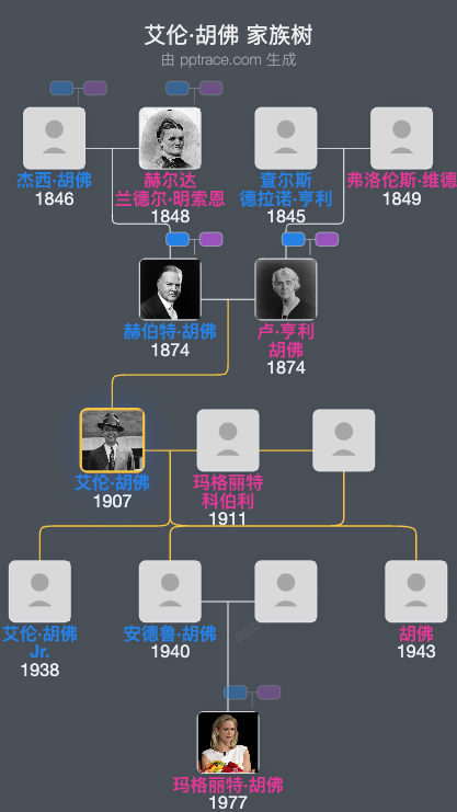 艾伦·胡佛家族树全览