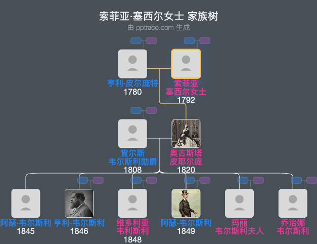 索菲亚·塞西尔女士家族树全览