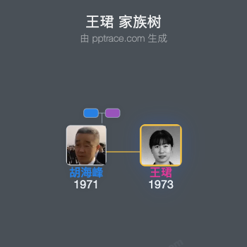 王珺 家族树全览