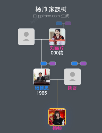 杨帅 家族树全览