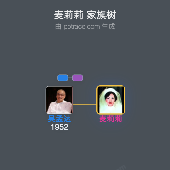 麦莉莉 家族树全览