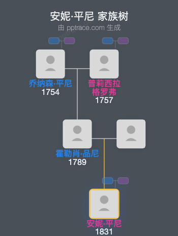 安妮·平尼家族树全览