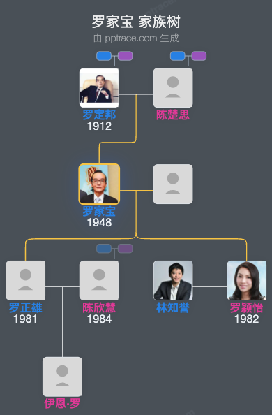 罗家宝 家族树全览
