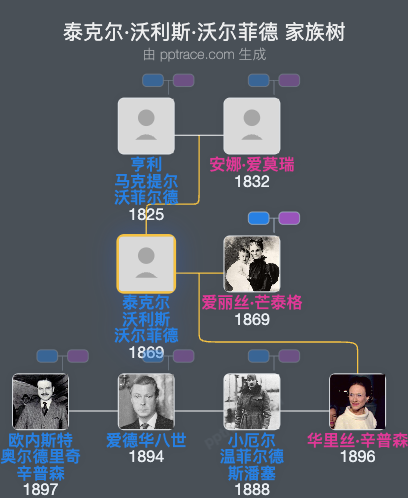 泰克尔·沃利斯·沃尔菲德家族树全览
