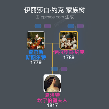 伊丽莎白·约克家族树全览