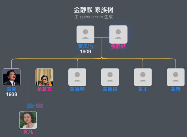 金静默 家族树全览