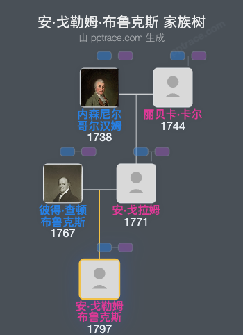 安·戈勒姆·布鲁克斯家族树全览