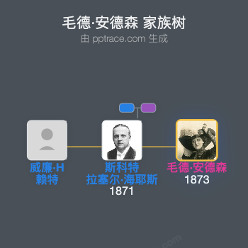 毛德·安德森家族树全览