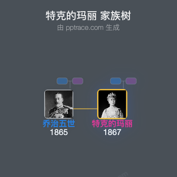 特克的玛丽 家族树全览