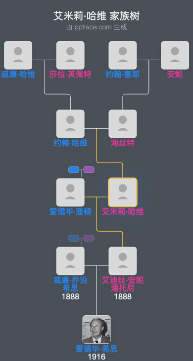艾米莉·哈维家族树全览
