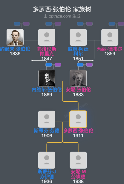 多萝西·张伯伦家族树全览