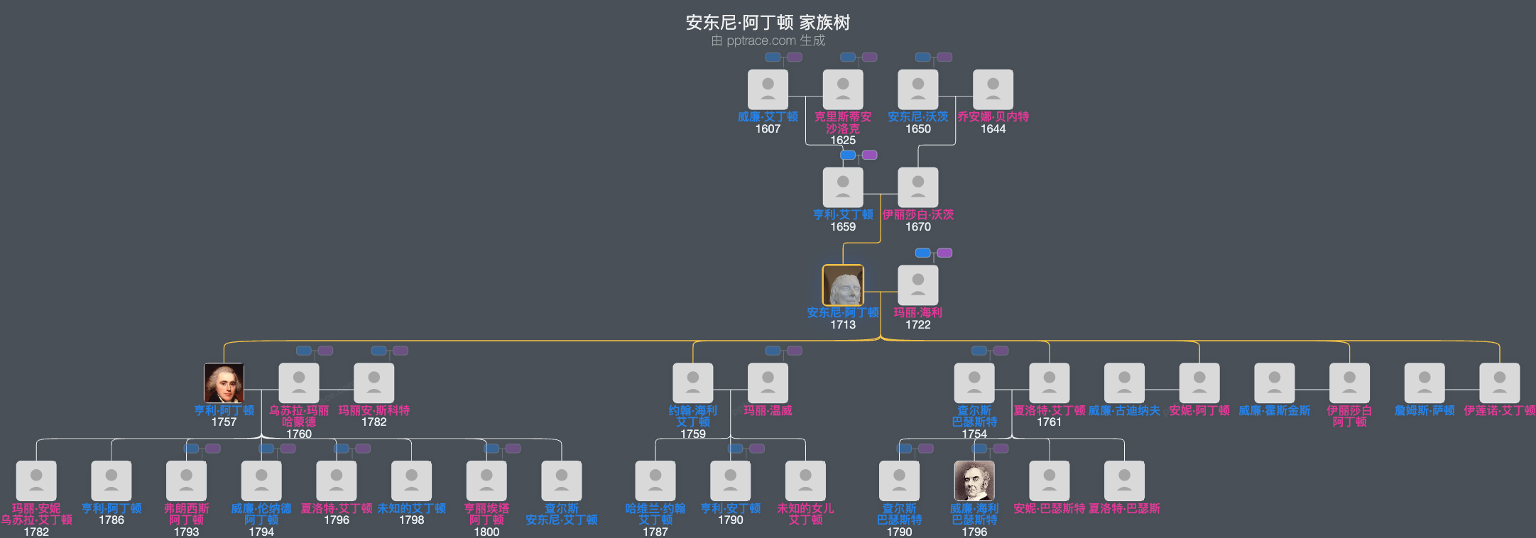安东尼·阿丁顿家族树全览