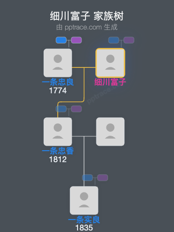 细川富子家族树全览