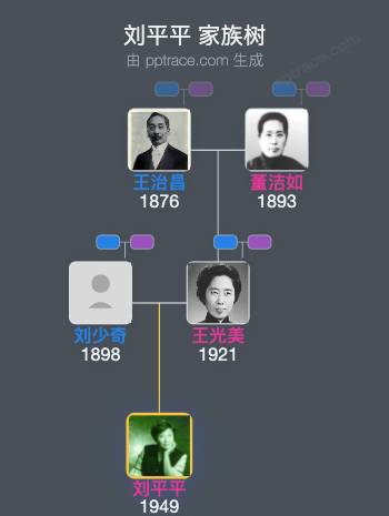 刘平平 家族树全览