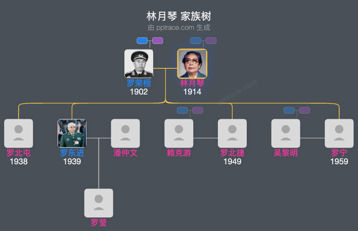 林月琴 家族树全览
