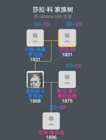 莎拉·科家族树全览
