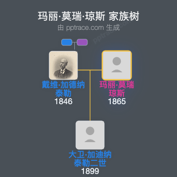 玛丽·莫瑞·琼斯家族树全览