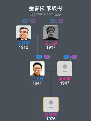 金春松 家族树全览