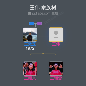 王伟 家族树全览