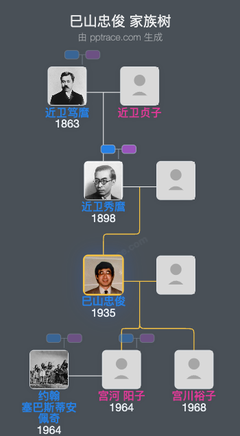 巳山忠俊家族树全览