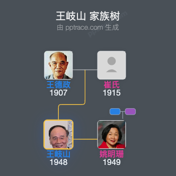 王岐山 家族树全览