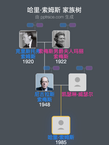 哈里·索姆斯家族树全览