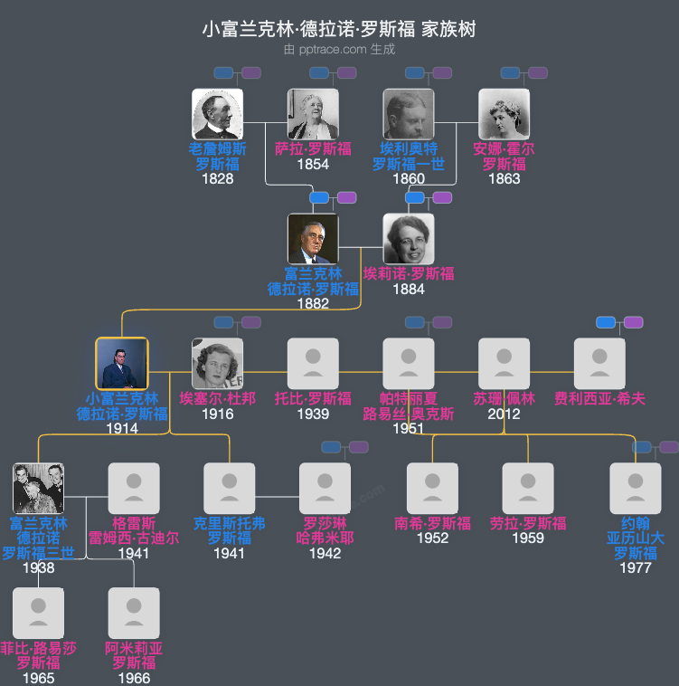 小富兰克林·德拉诺·罗斯福家族树全览
