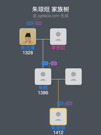 朱琼炟家族树全览