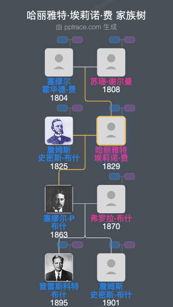 哈丽雅特·埃莉诺·费家族树全览