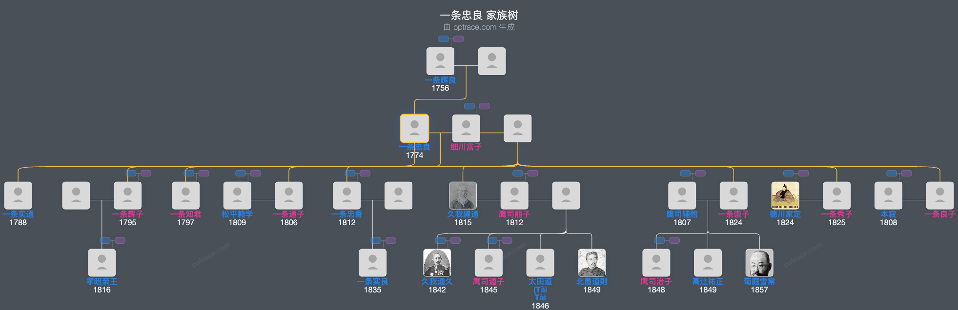 一条忠良家族树全览