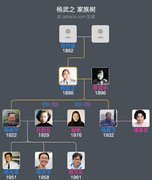 杨武之家族树全览