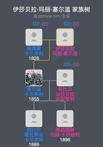 伊莎贝拉·玛丽·塞尔温家族树全览