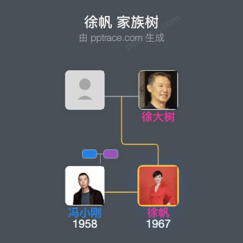 徐帆 家族树全览