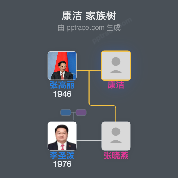 康洁 家族树全览