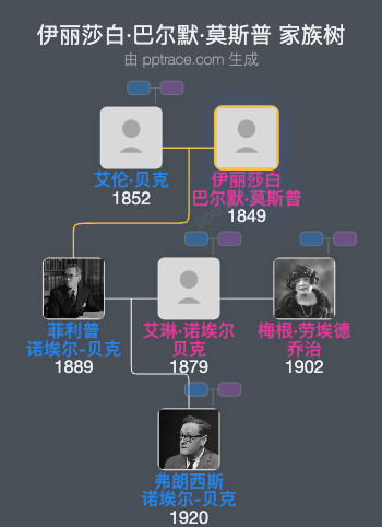 伊丽莎白·巴尔默·莫斯普家族树全览