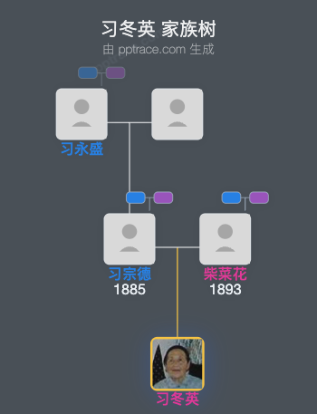 习冬英 家族树全览