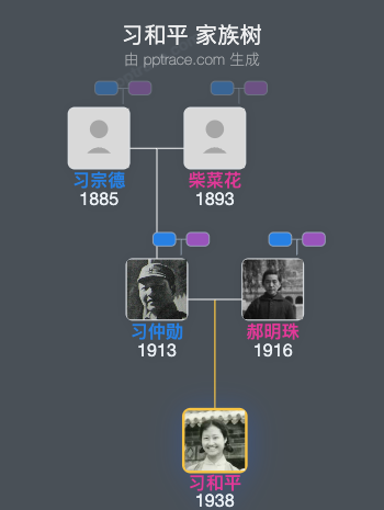 习和平 家族树全览