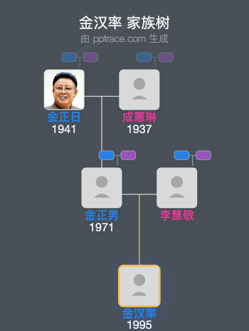 金汉率 家族树全览