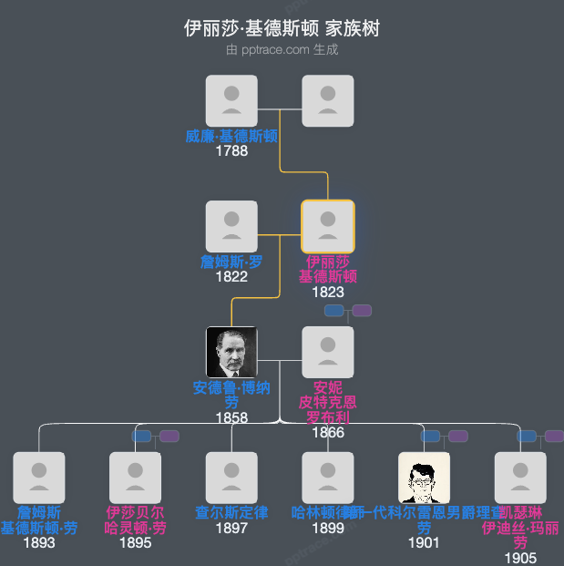伊丽莎·基德斯顿家族树全览