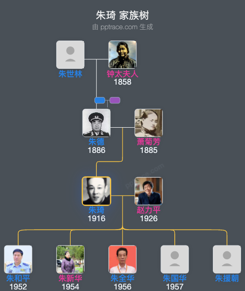 朱琦 家族树全览