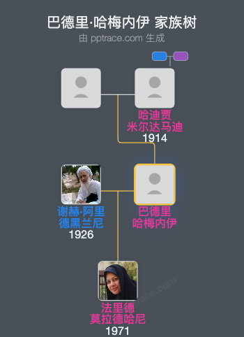 巴德里·哈梅内伊家族树全览