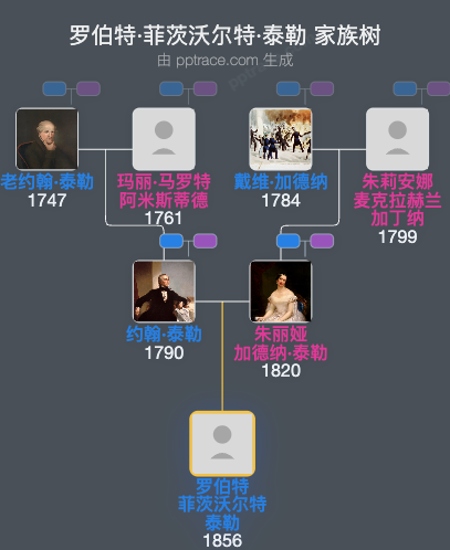 罗伯特·菲茨沃尔特·泰勒家族树全览