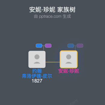 安妮·珍妮家族树全览