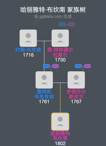 哈丽雅特·布坎南家族树全览