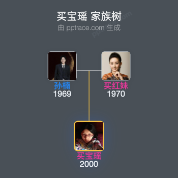 买宝瑶 家族树全览