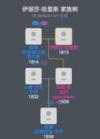 伊丽莎·哈里斯家族树全览