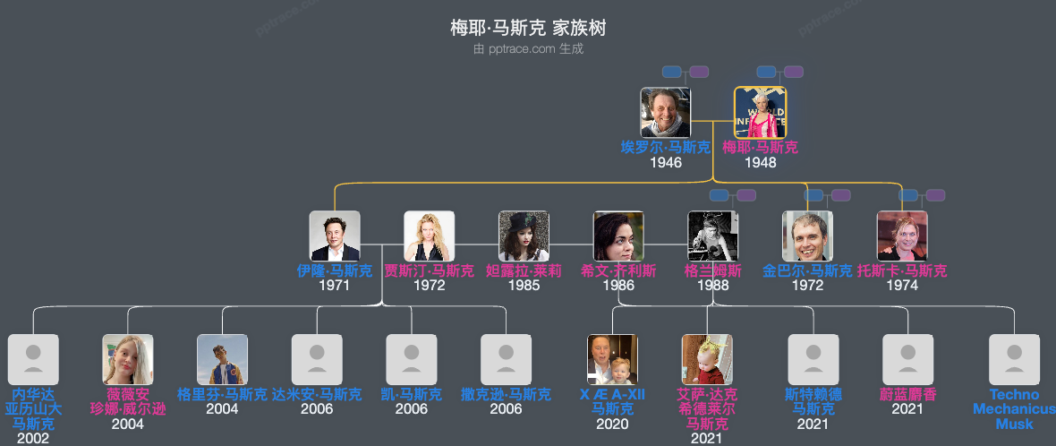 梅耶·马斯克 家族树全览