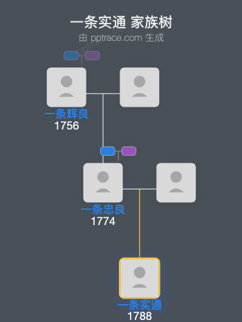 一条实通家族树全览